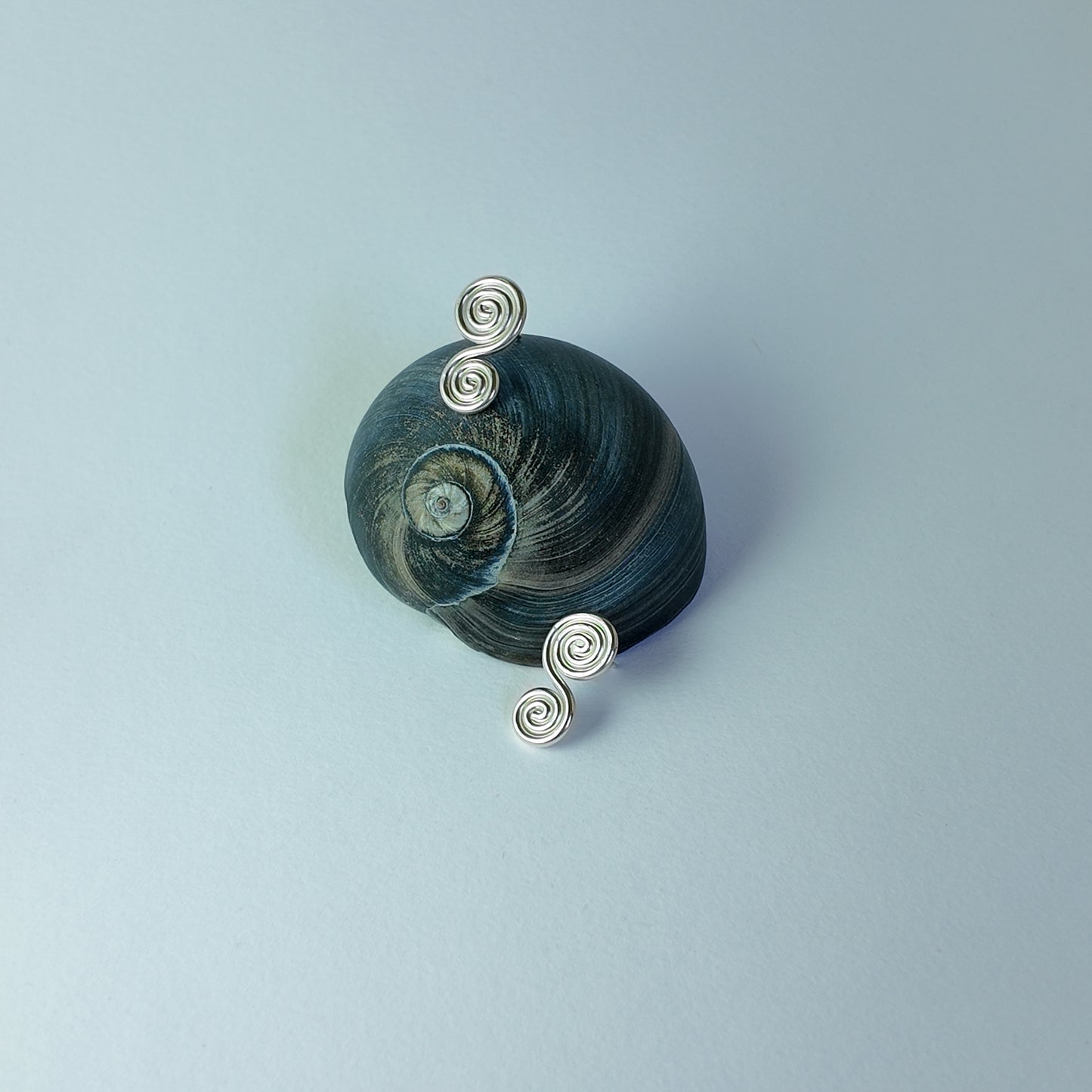 The Double Spirals