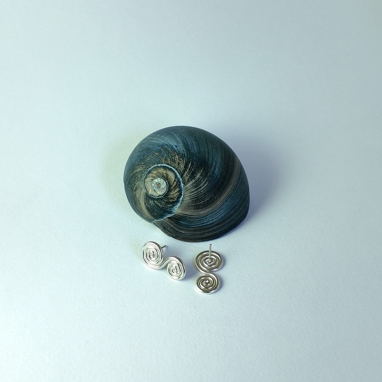 The Double Spirals